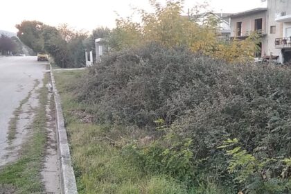 125771863 787329545178506 8495091446617185031 n