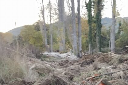 126345465 2902539170033110 8473049445421609185 n