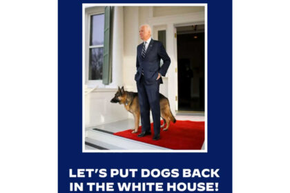 biden dogs 2048x1126 1