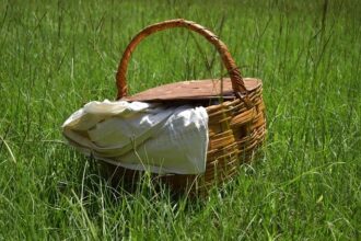 picnic