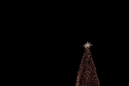 received 2559887984303340 01