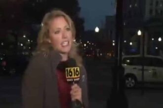 reporter