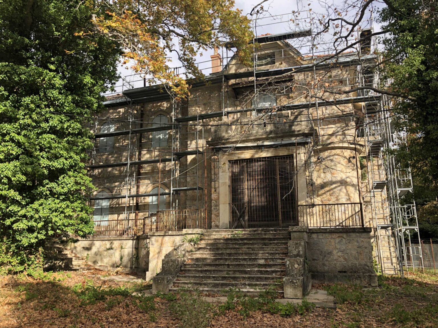 tatoi in 2711 1 scaled 1 scaled