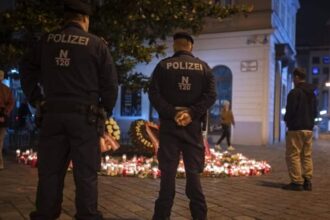 vienni polizei