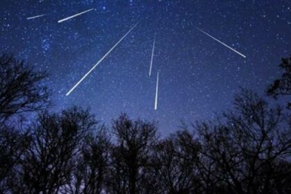 w15 114951w20102323w101110362