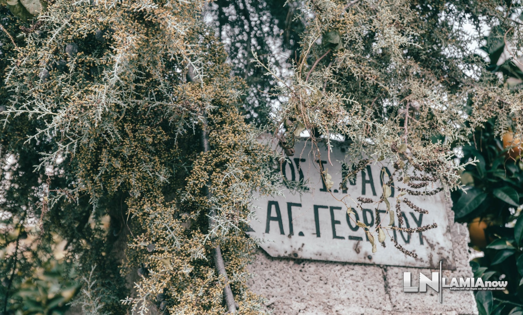 αγιος γεωργιος λαμια 2
