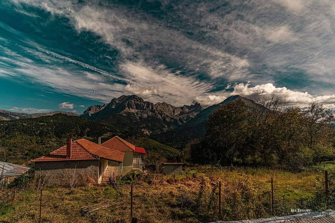 αρτοτινα4 4