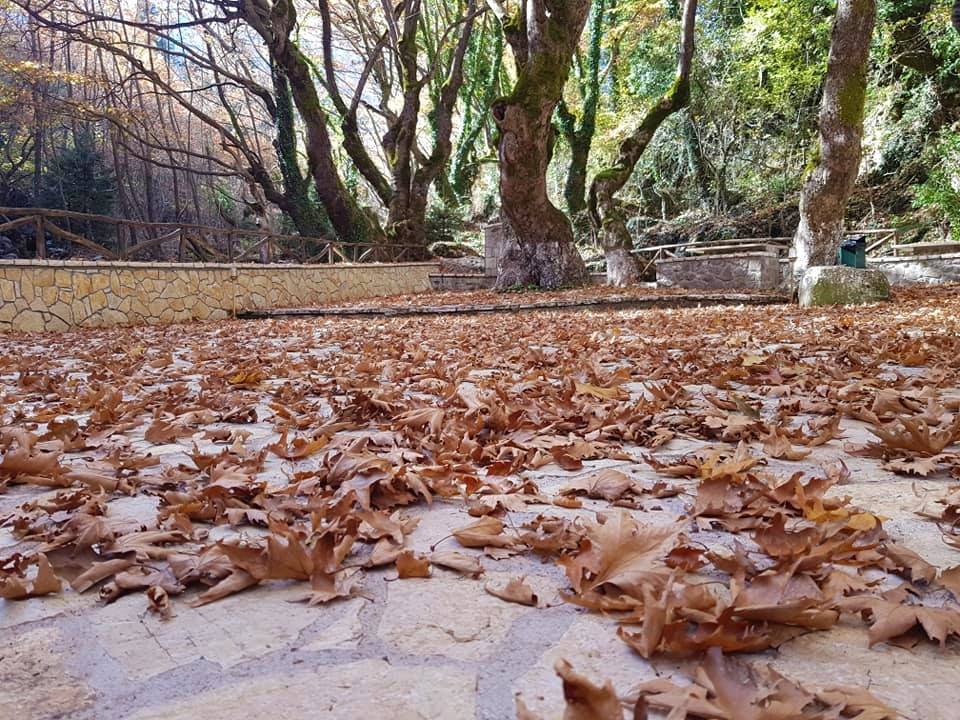 διακος3 4