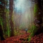 καστριώτισα4 4