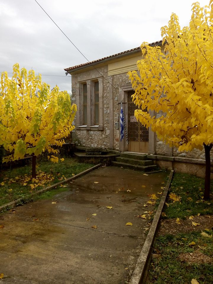 κολοπετινίτσα2 5