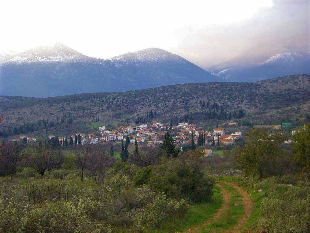 κολοπετινιτσα1 9