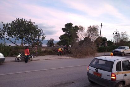 133785981 10226518153966847 6393954620490009390 n