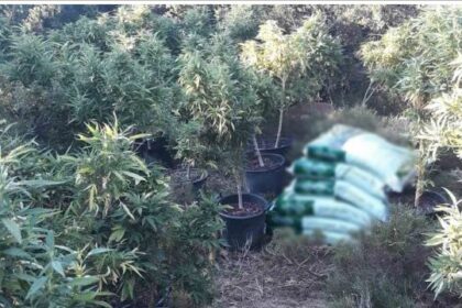 Fthiwtida xasisokalliergites