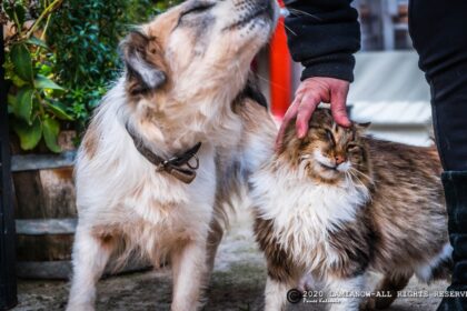 MARMARA INOXOS PERIBOLI 51