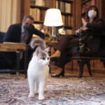 cat sakellaropoulou scaled 1 scaled