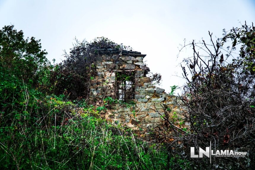 dilofo sperxeiadas 59