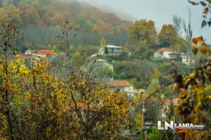 dilofo sperxeiadas 60