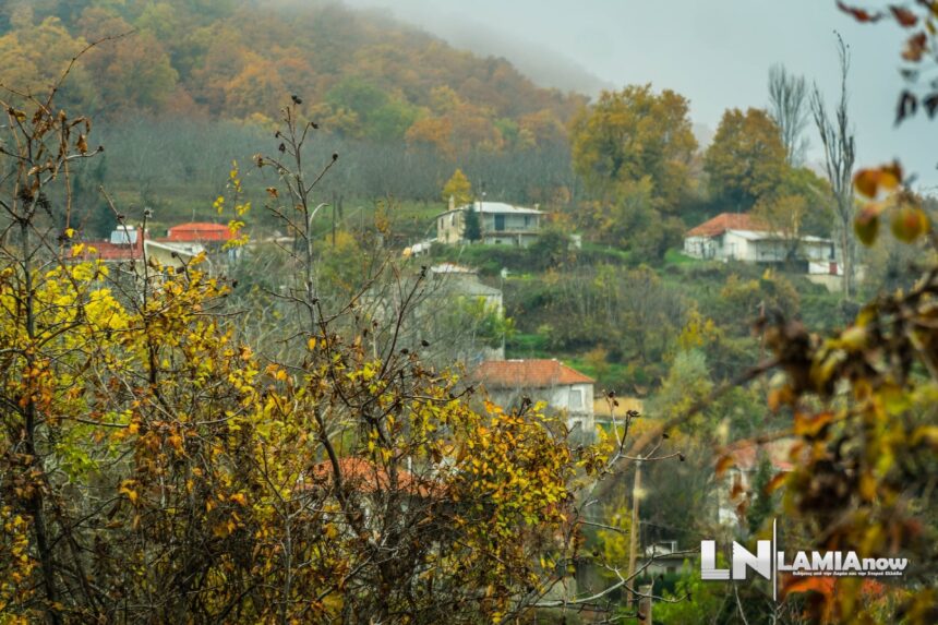 dilofo sperxeiadas 60