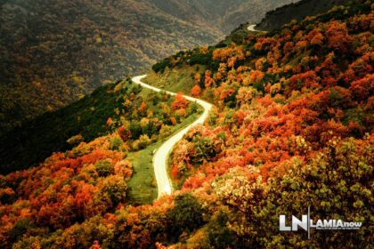 dilofo sperxeiadas 72