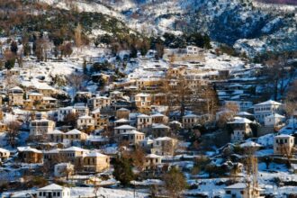 pilio
