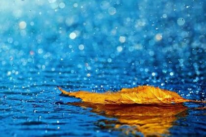 rain hd wallpapers e1555252747322