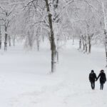 usa xioni 1 scaled 1 scaled