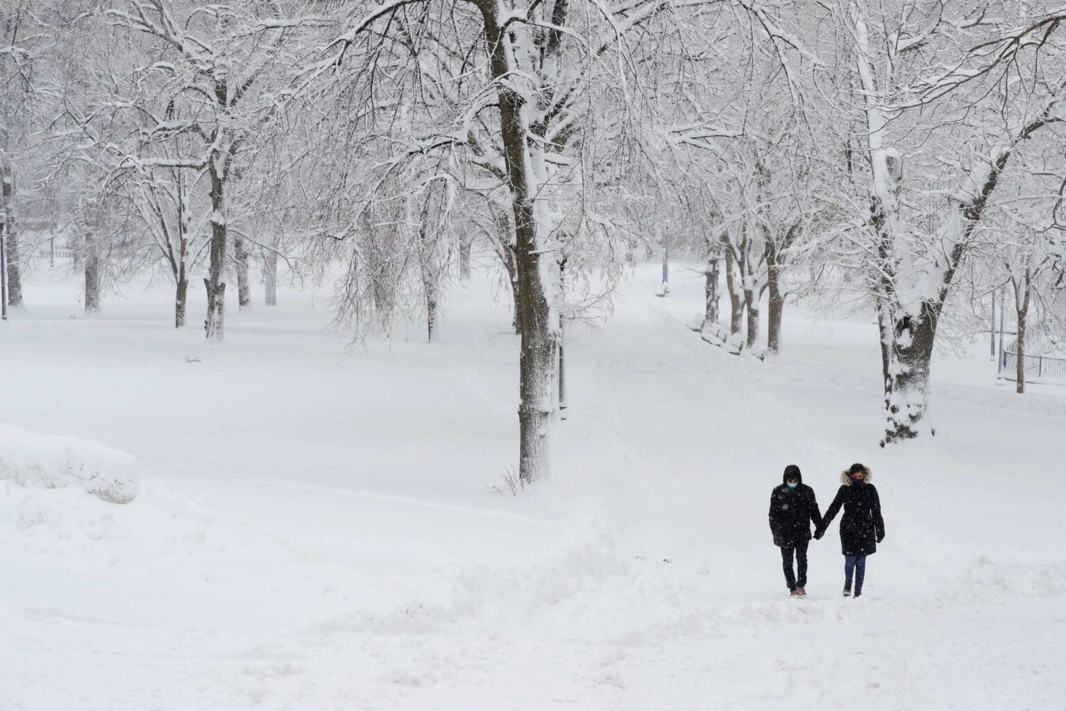 usa xioni 1 scaled 1 scaled