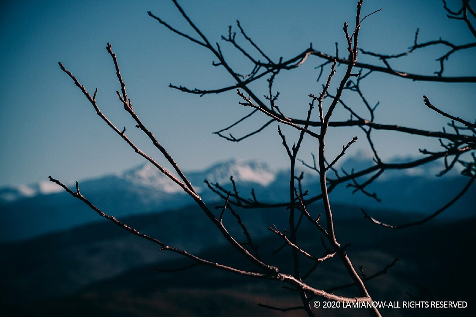 παντοπωλειο μερκαδα πανος αλεξιου 9