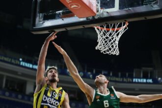 FENER PAO 2 2048x1615 1