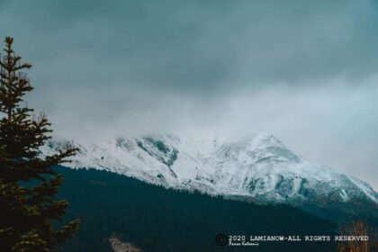 mavrilo lamianow 12 1140x760 1