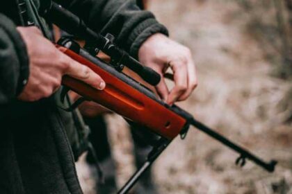 sebastian pociecha rpz2I7UGtVM unsplash