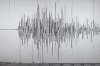 seismografos 1 6 2019