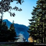 δεντρα μερκαδα 46 1536x1024 1