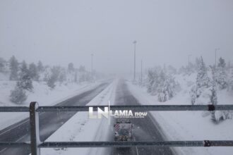 μαρτινο1