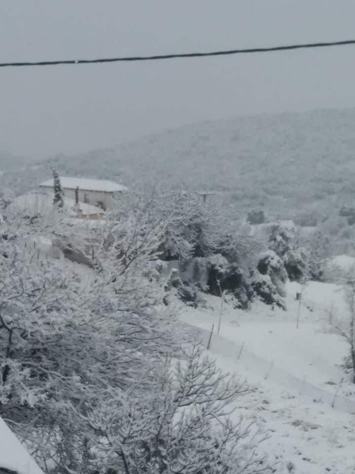 νεράιδα στυλίδας θ τ