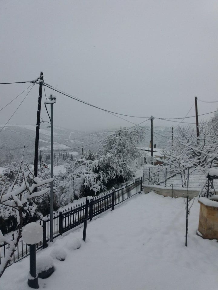 νεραιδα θτ