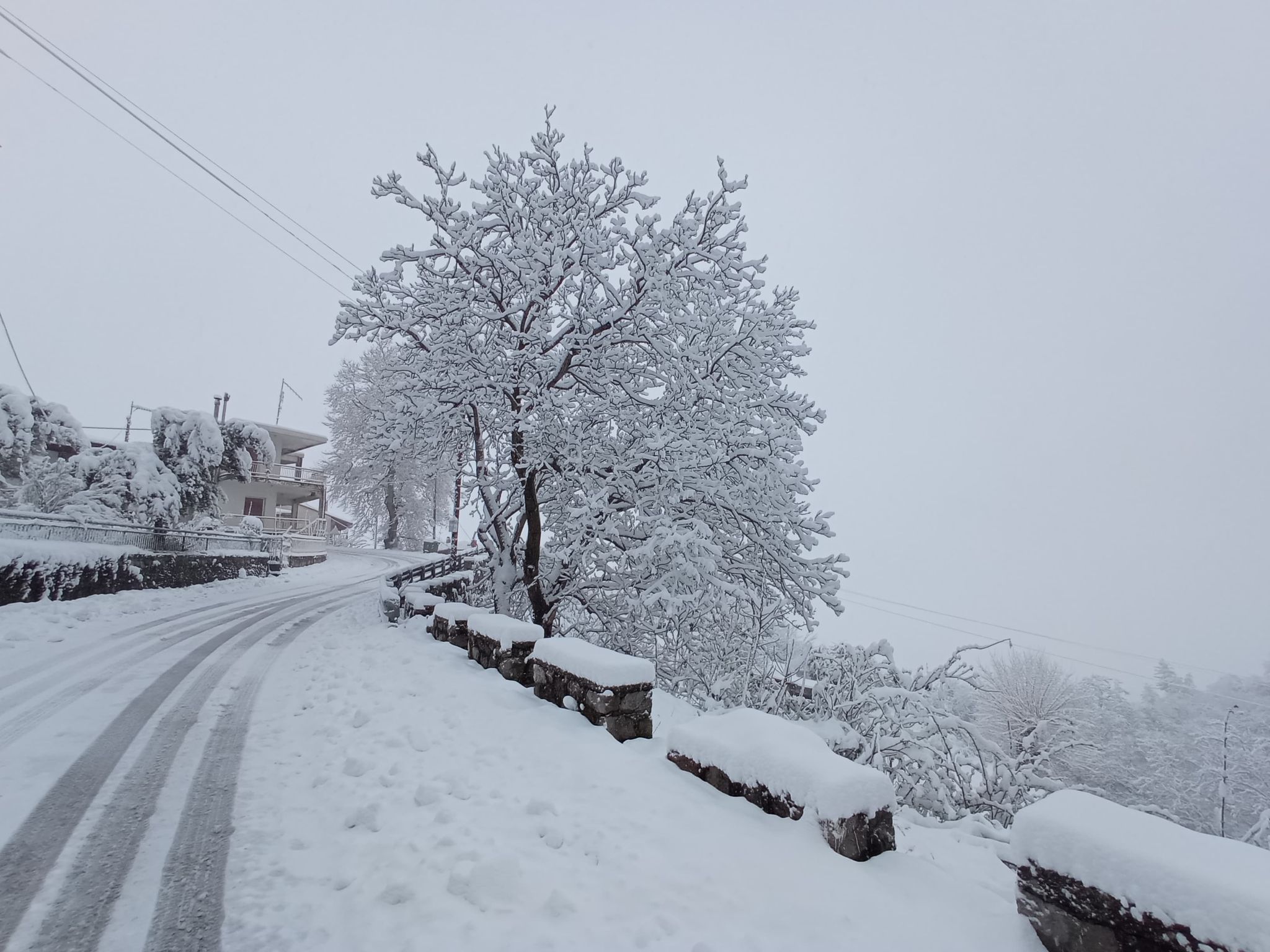 ννοντ