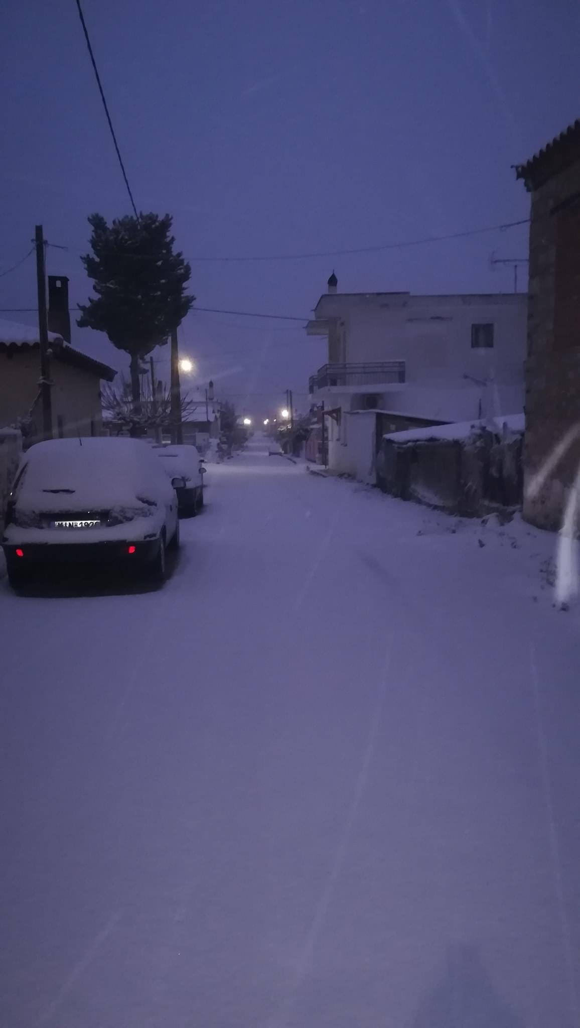 τραγανα3