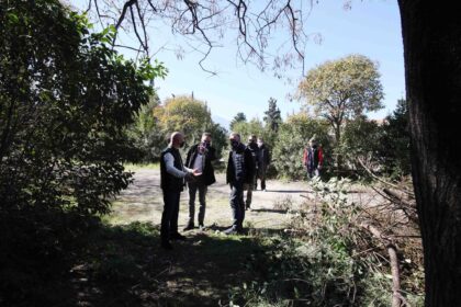 158822713 5450902988268124 8119210568069625590 o