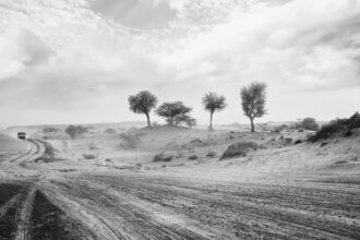 desert 2528145 1920