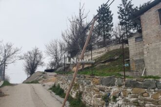 kolona1 2