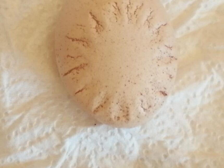 176945744 3821194368002078 3456747971926336399 n 0