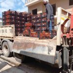 2 scaled