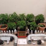 thumbnail 12 04 2021 ναρκωτικά Λέσβος 1024x576 1