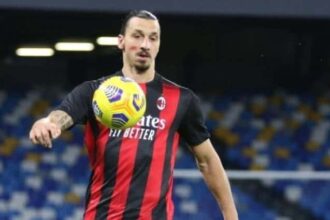 w22 183357zlatan