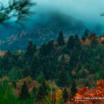 καπνοχωρι υπατης 35