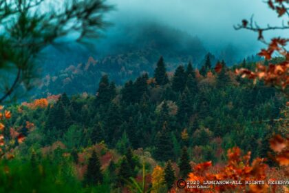 καπνοχωρι υπατης 35