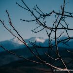 παντοπωλειο μερκαδα πανος αλεξιου 9 1 1