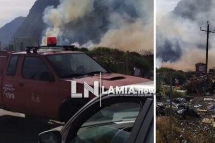 inCollage 20210520 0922485251