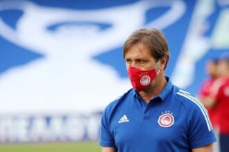 martins plagies 213742